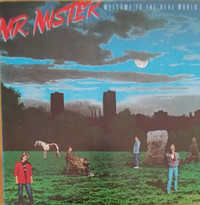 MR.MISTER WELCOME TO THE REAL WORLD (VINYLE)