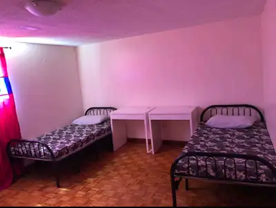 Share room is available in a detached house walkout basement near Kingston Rd/ Markham Rd intersecti...