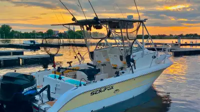 Sea Fox 230 WA 2005 Perfect condition, comfortable and safe water ride. Fully loaded boat. Mercury 2...