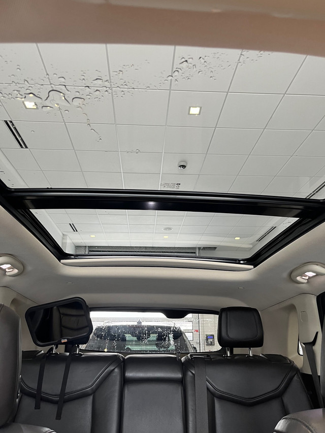 2019 Cadillac xt5 luxury trim in Cars & Trucks in Red Deer - Image 2
