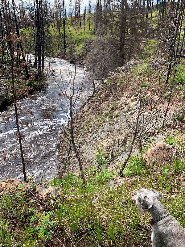 160 ACRES FOR SALE KAMLOOPS! Land for Sale Kamloops Kijiji