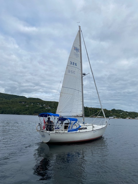 1982 C&C 30ft  Sailboat PRICED TO SELL in Sailboats in Cape Breton - Image 7
