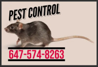 Pest control BED BUGS, COCKROACHES, RATS, MICE 647-574-8263