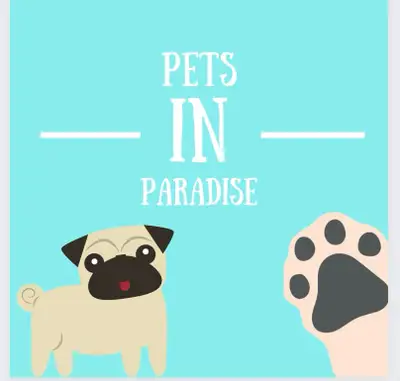 Professional Pet Groomer Available, View more