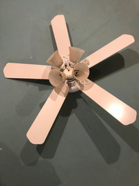 Used 52-inch Hampton Bay Ceiling Fan/light for sale