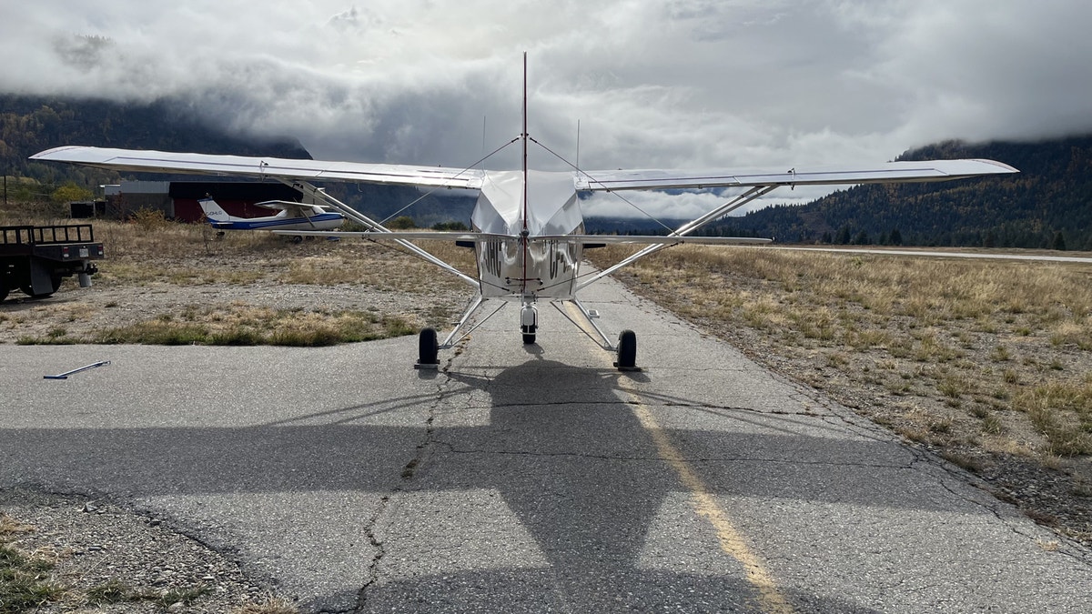 Piper PA-22-135 Tri-Pacer, photo 4