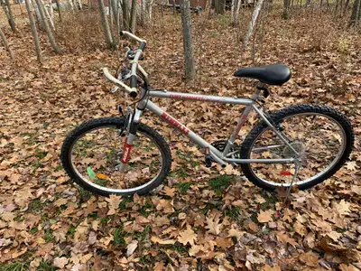 Minnelli Tim Hortons bike, View more