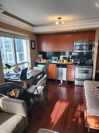 Condo Studio, furnished, long or short term, Yonge and Sheppard