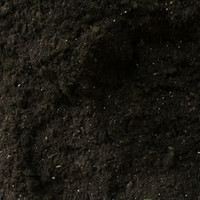 Bulk Triple mix and garden soil free delivery