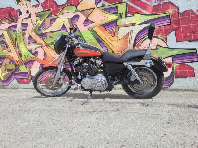 2008 Harley Davidson Sportster 1200XL in Street, Cruisers & Choppers in Kitchener / Waterloo - Image 5