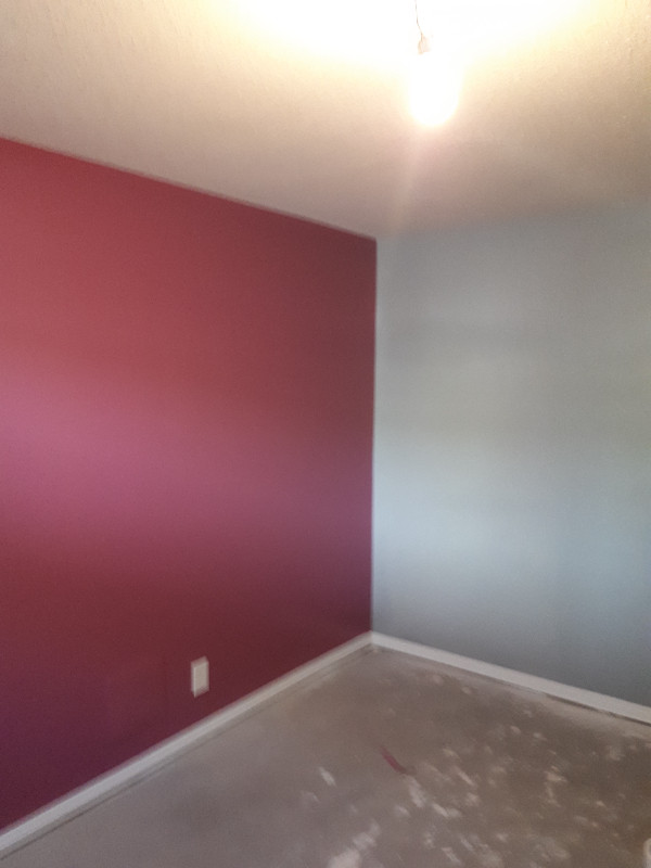 Finishing painter  with 39 Years Experience in Painters & Painting in Regina - Image 3