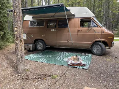 Summer dream machine! She needs someone to adopt her, give her a full life! Her name is 'Penny' and...