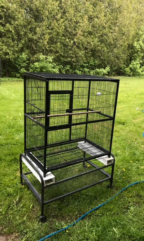 **LUXURY CAGE FOR LARGE BIRD / PARROT / FERRET / CHINCHILLA** in Birds for Rehoming in Markham / York Region