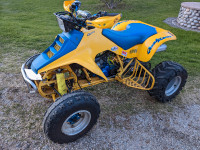 1992 LT250R Quadracer With Papers