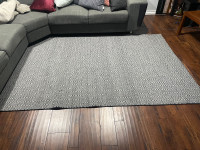 BRAND NEW 5x8 ft rug 