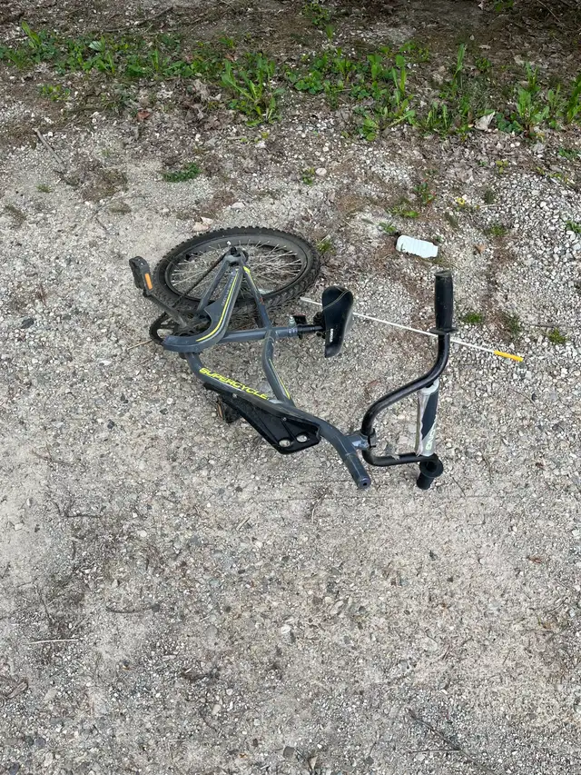 Bike Trailer in Kids in Owen Sound - Image 2