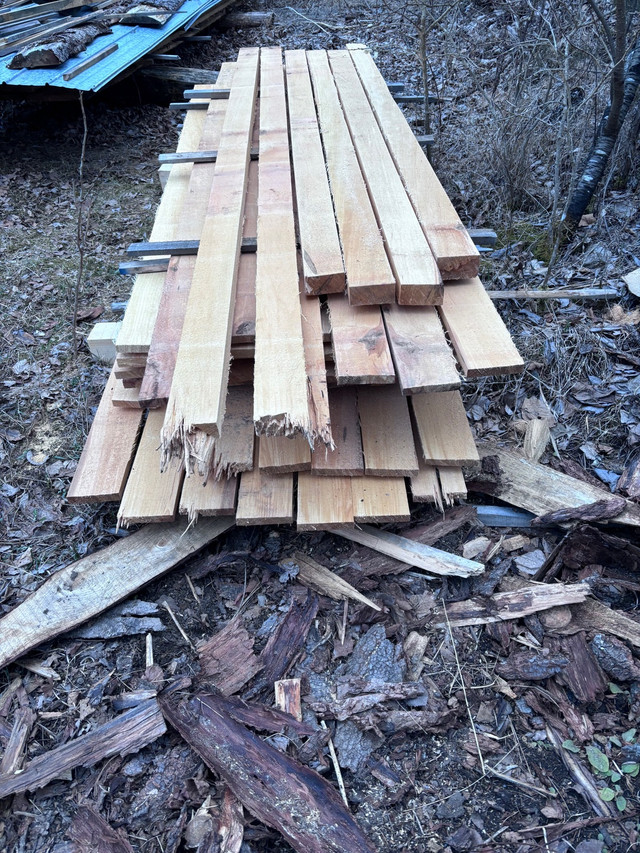  Basswood lumber for sale   dans Autre  à Napanee - Image 2