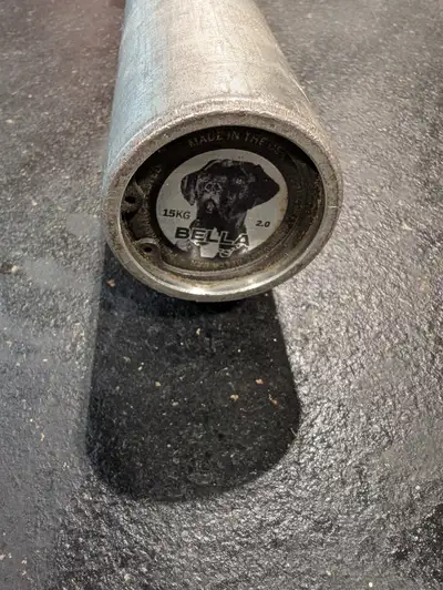 Rogue Bella Stainless Steel Barbell (15kg), View more