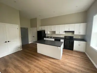 1 BDRM APARTMENT Furnished with the basics: bed, couch, kitchen items, and TV. Inclusive price - Hyd...