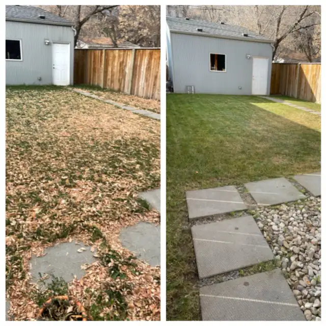 FALL CLEANUP • OVERGROWN YARD586457737531248645