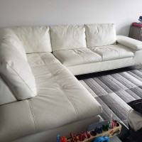 Left facing sectional sofa 