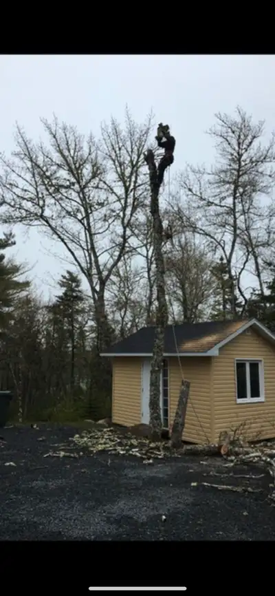 15 years experience JOB WELL DONE STARTS HERE Arborist, Residential work, lot clearing SPECIALIZING...