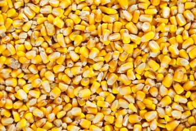 Bagged Grains for sale. Locally grown, cleaned and bagged on farm. Call or text to place an order We...