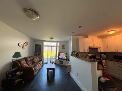 1 bed 1 bath
