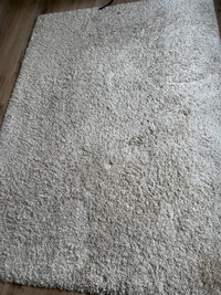 Shag rug 