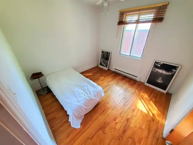 Photo 14