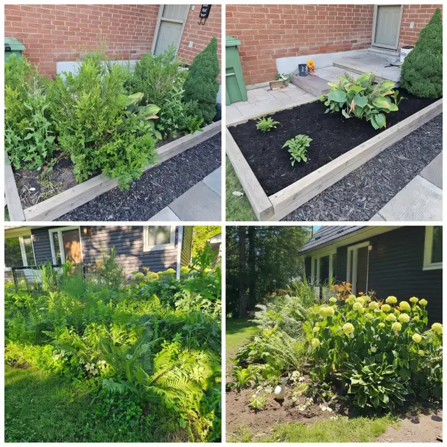 Reliable & Affordable Fall Cleanup Landscaping & Gardening