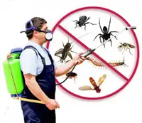 Best price Pest control