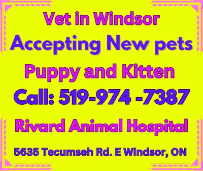 Wellness Exams, Medical and Surgical treatments, Dentistry, Spay and Neuter, Diagnostics, Digital X-...