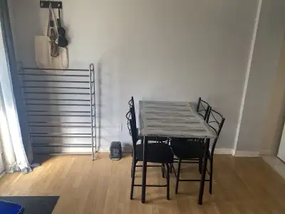 This walkout basement is available for rent, featuring a well-lit living space, functional kitchen,...