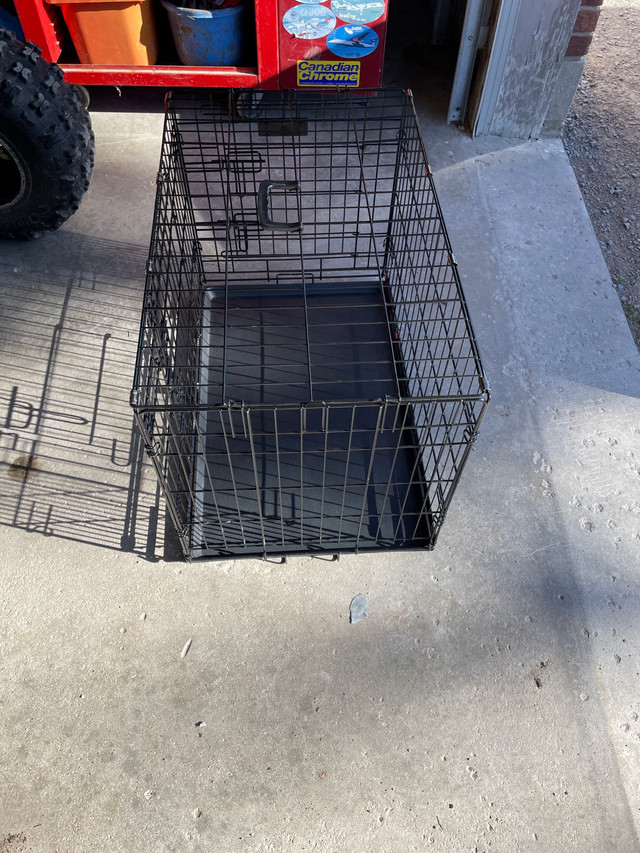 Budz Dog crate  dans Accessoires  à Région des lacs Kawartha
