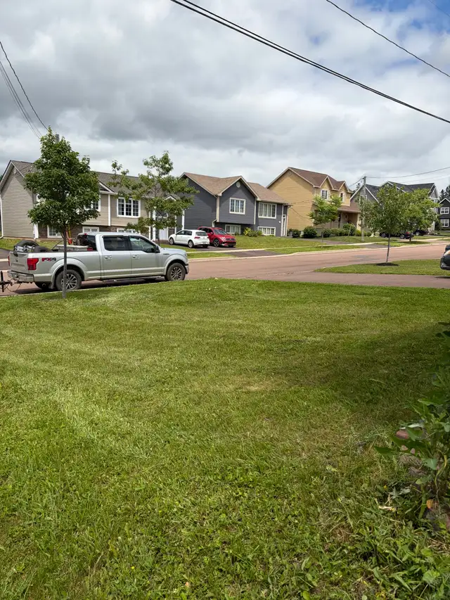 lawn care 508105788533002241