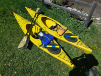 KAYAKS - 2 ready to use with all supplies- $1000