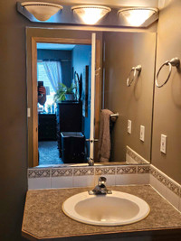 Bathroom mirror and vanity light