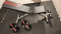 Bowflex adjustable dumbbells & adjustable bench