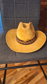 Chapeau de cowboy 