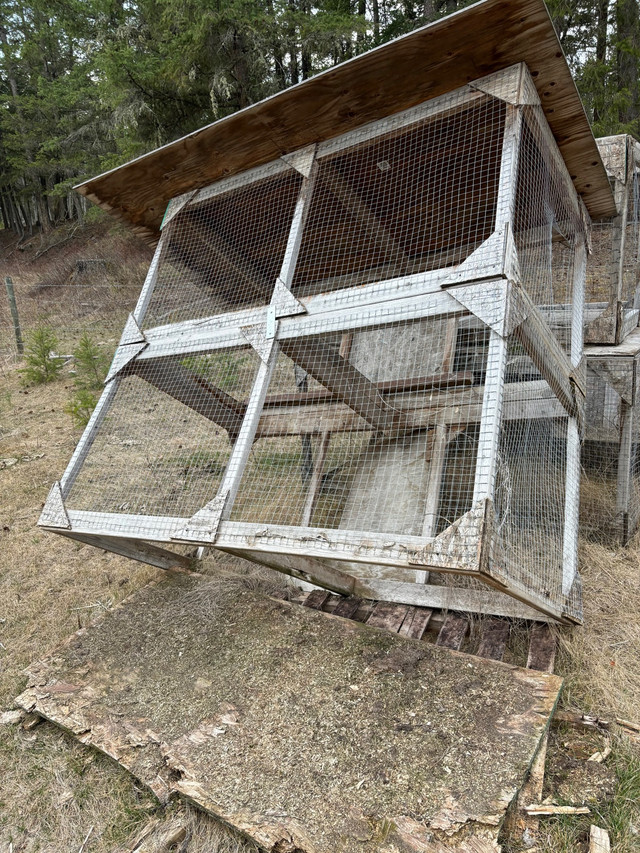 Bird cages free in Birds for Rehoming in Williams Lake