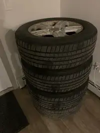 Tire and rims