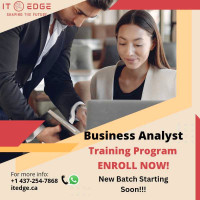 Job Training Program Business Analyst