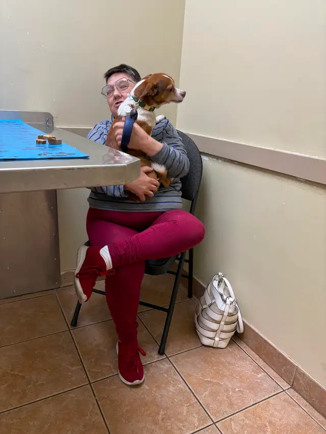 Looking for true friends