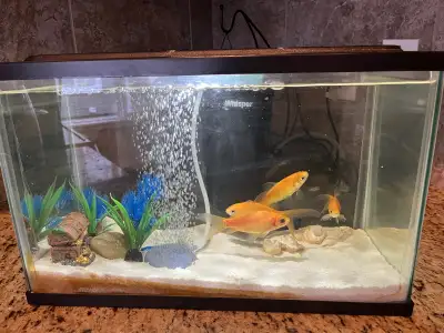 10 Gal Fish Tank, View more