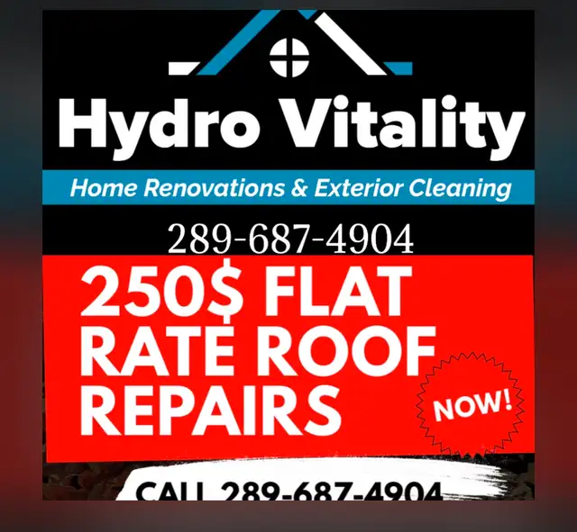 ‼️ROOF REPAIR AT A FLAT RATE 250$‼️63251727616513126