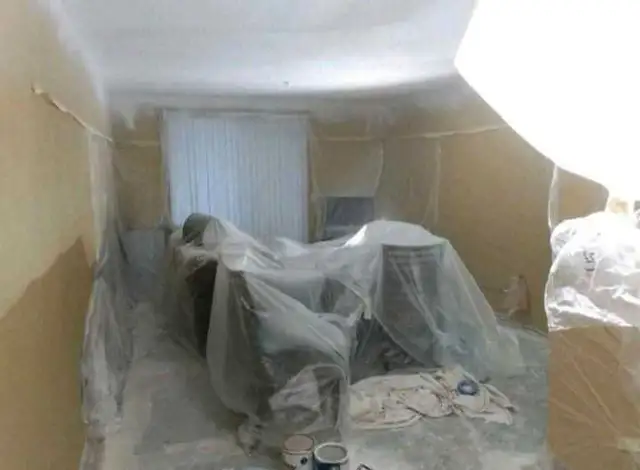 Highly Skilled Painter Looking for Work409361798755799041