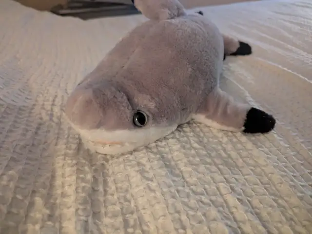 Shark Puppet in Toys & Games in Laval / North Shore - Image 2