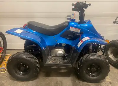 Selling the kids 50cc Gio quad/ATV. Boy never got into riding a quad and now wants a side by side. Q...