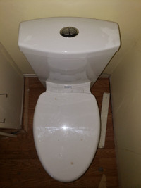Glacier Bay All-In-One 2-Piece Dual Flush Bowl Toilet